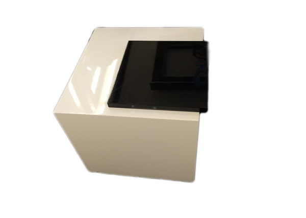 Eloy End Table - White/Black