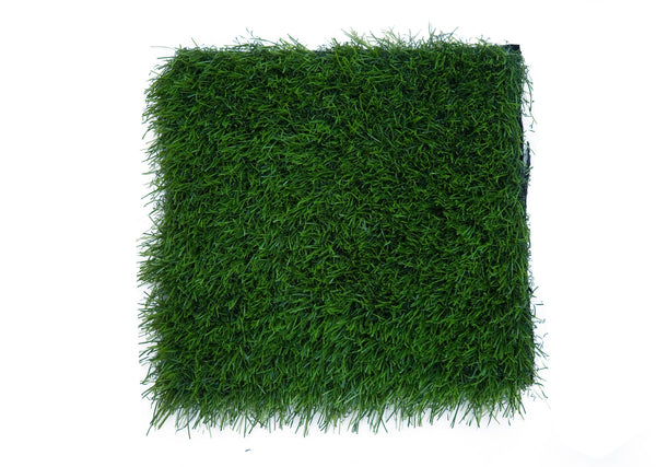 Grass Carpet Im Cg Luxury