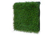 Grass Carpet Im Cg Luxury