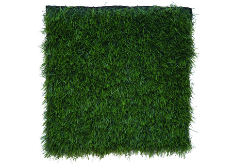 Grass Carpet Im Cg Premium