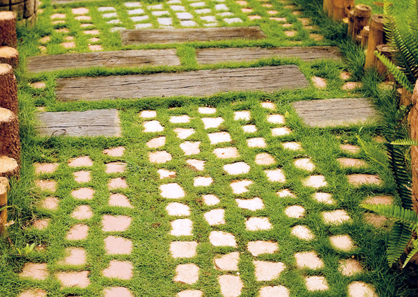 Floor Coble Stone Vietnam