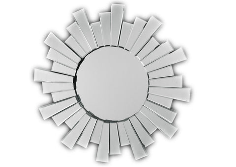 MIRROR IM FDA FD-1030