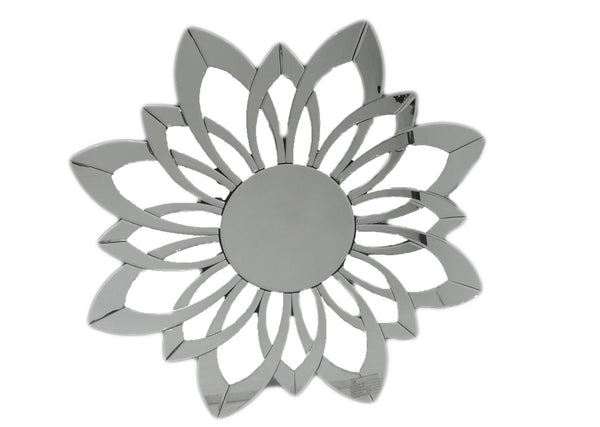 MIRROR IM FDA FD-1097