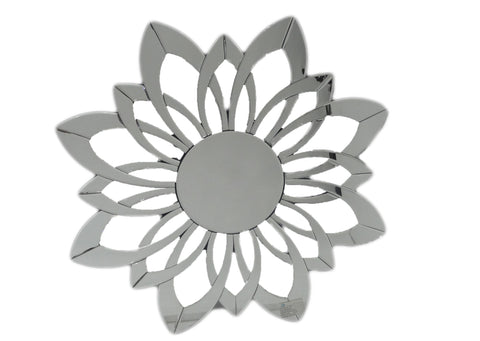 MIRROR IM FDA FD-1097