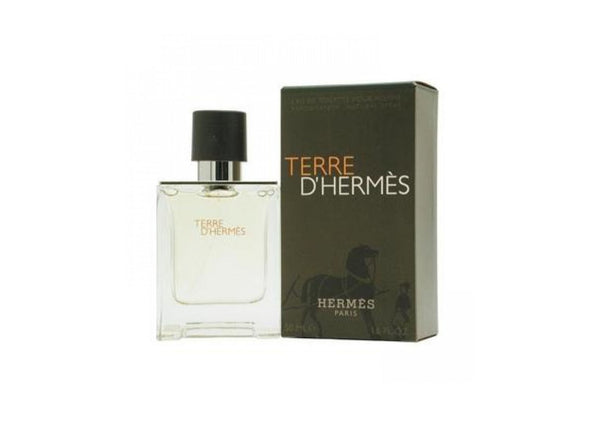 Hermes Terre DHermes M Edt 100 Ml Spy